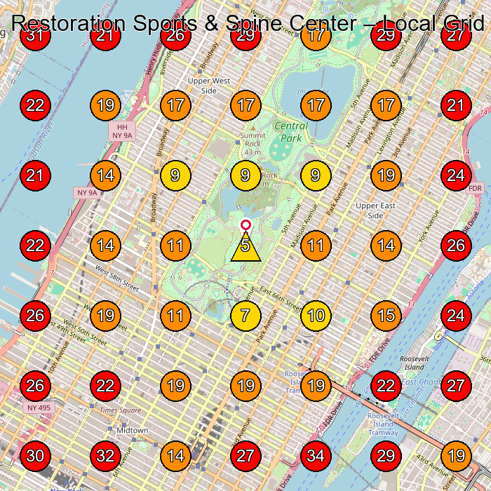 Restoration Sports & Spine Center GeoGrid visibility map for Physical Therapy Clinic in New York